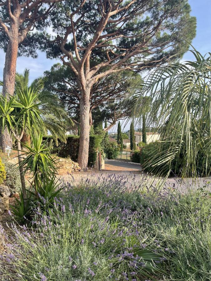 Paradis Provencal Sainte-Maxime Eksteriør billede